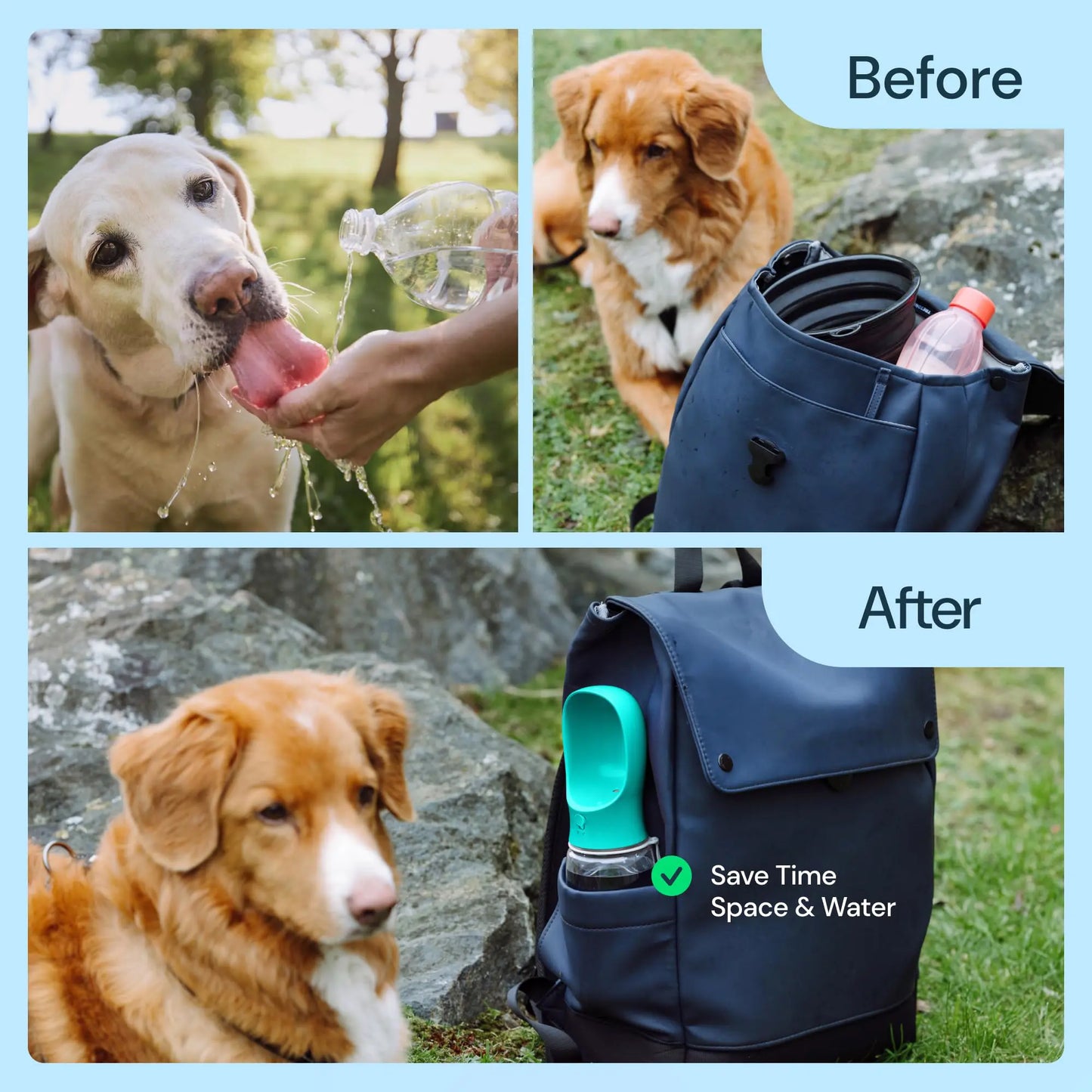 Portable Pet Water Bottle with Food Container - Outdoor Water Dispenser for Dogs and Cats (19 oz)