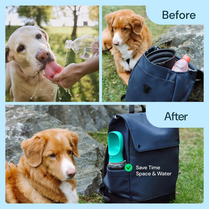 Portable Pet Water Bottle with Food Container - Outdoor Water Dispenser for Dogs and Cats (19 oz)